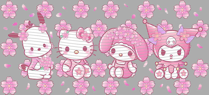 16oz Sanrio-SO-940